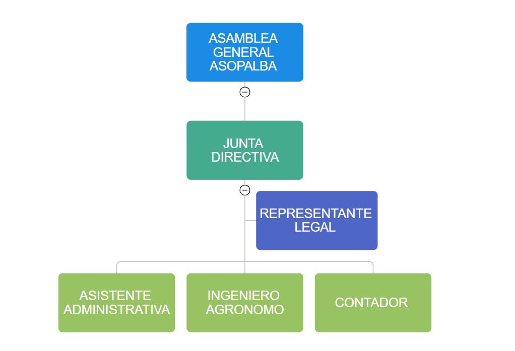 Organigrama Estructura Organizacional ASOPALBA